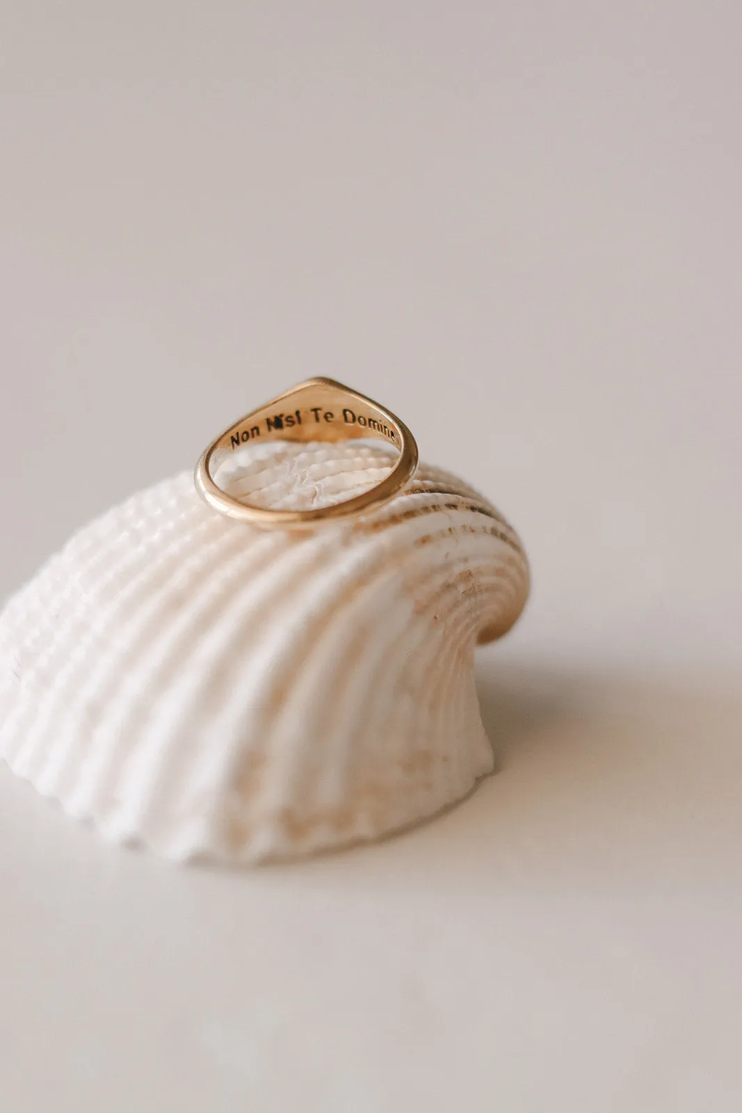 Ocean of Grace Ring in Vermeil