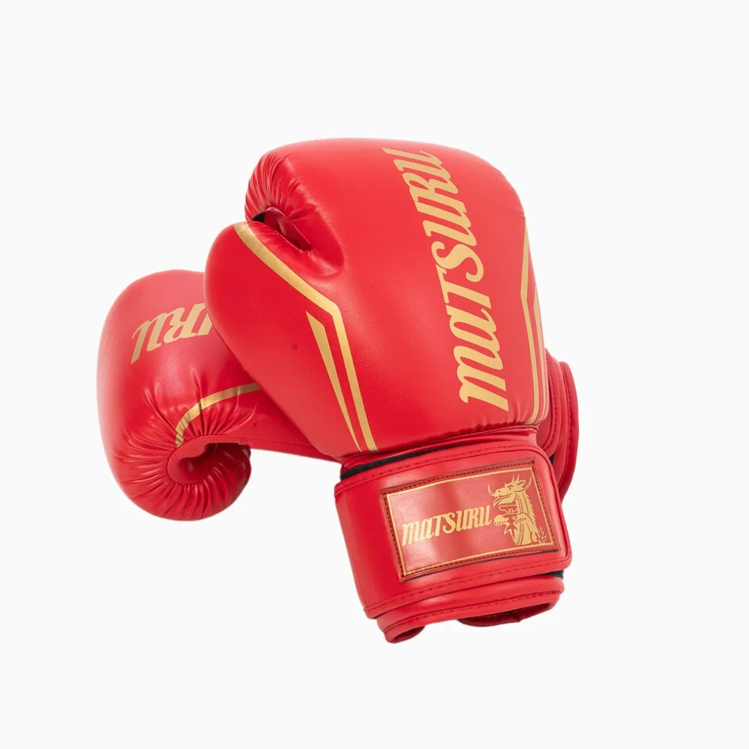 Pro Boxing Gloves